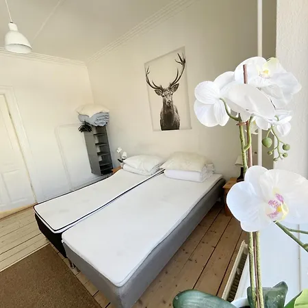 Beautiful 2 Bedroom On Borgergade Aalborg